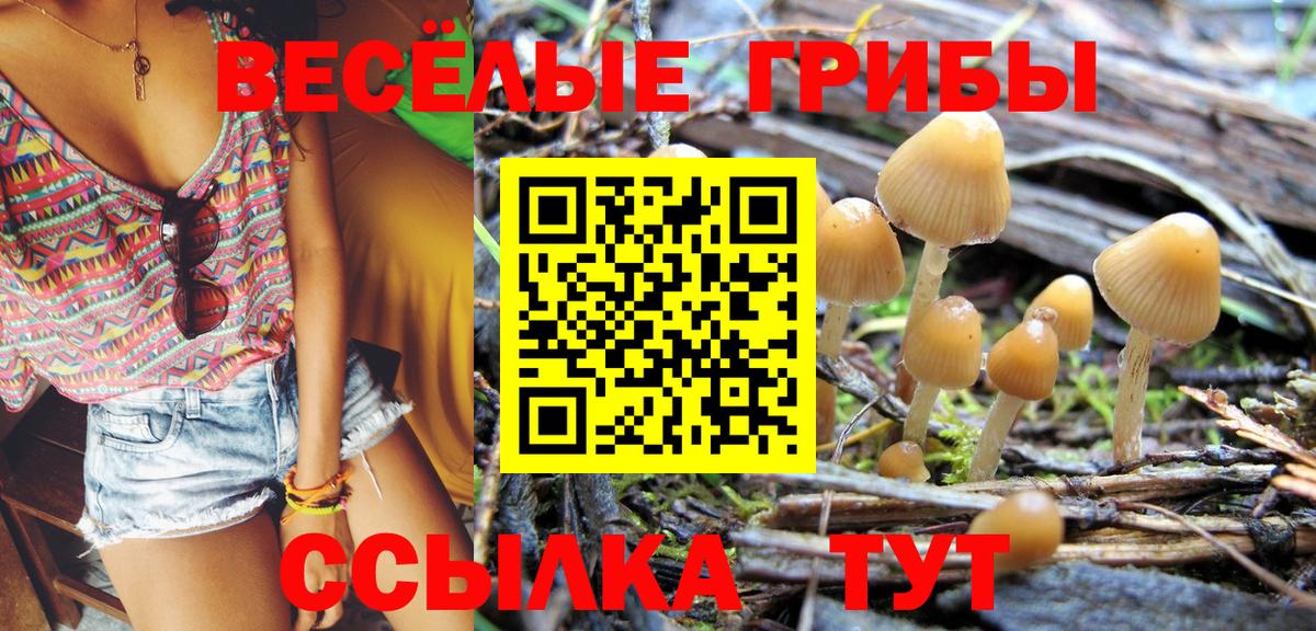 Галлюциногенные грибы Cubensis  Вход с VPN  Егорьевск 